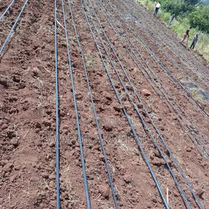 Drip Irrigation