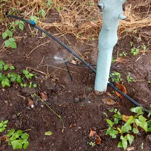Button Drippers Irrigation