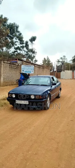 BMW 520i 1992 Blue