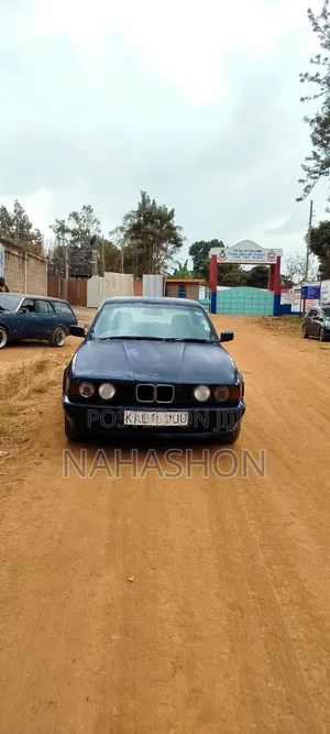 BMW 520i 1992 Blue
