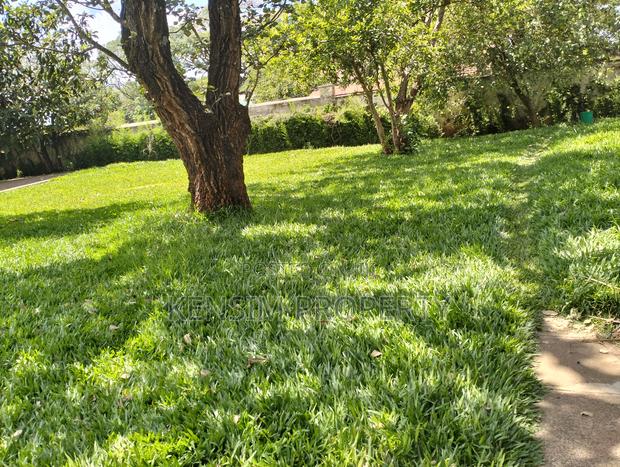 Land for Sale in Lavington - thumbnail 3