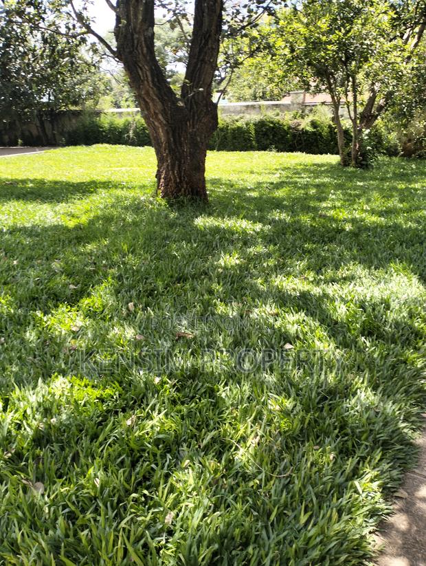 Land for Sale in Lavington - thumbnail 5