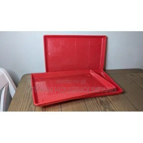 Feeding Plate for Poultry. Chicken Feeder Farming Equipment
