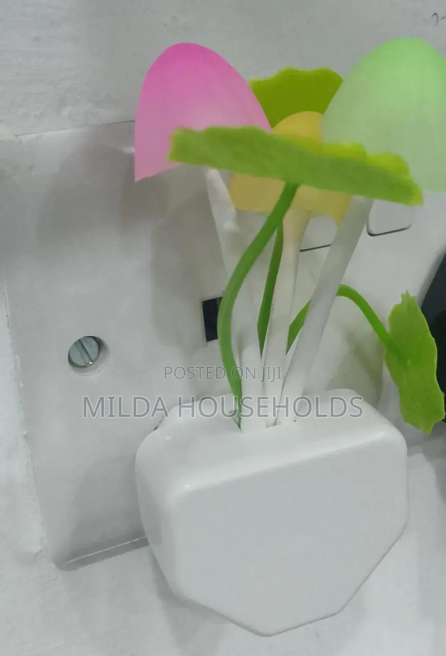 Automatic Glow in the Dark Flower LED PLUG on the Wall Night Light