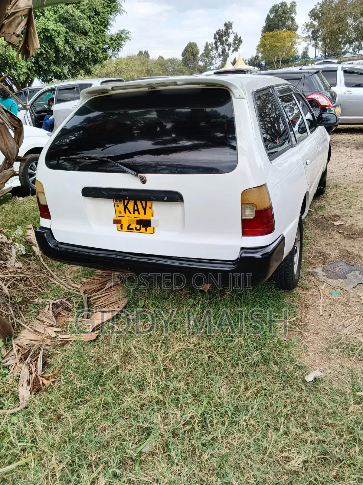 Toyota Corolla 2000 White