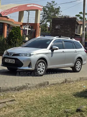Toyota Corolla Fielder 2016 Silver