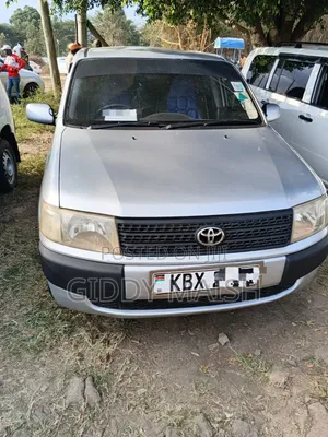 Toyota Probox 2006 Silver