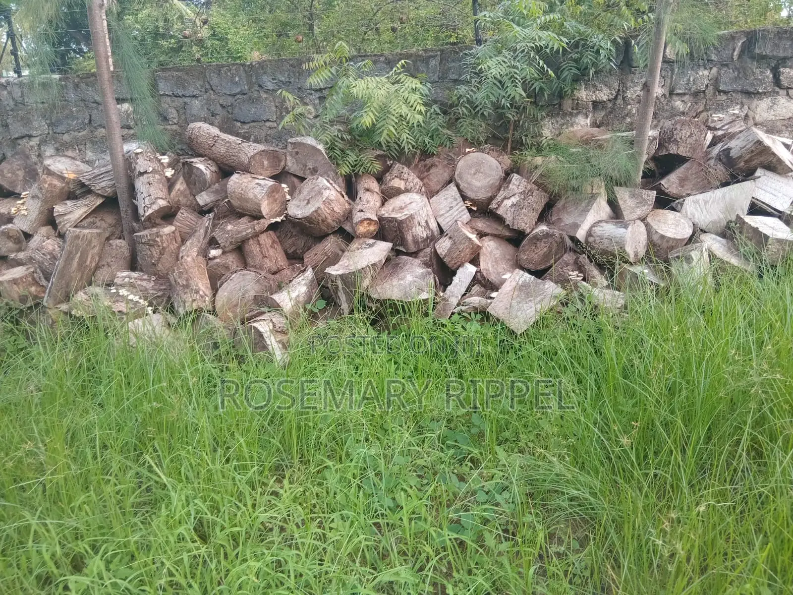 Firewood for Sale