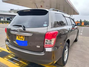 Toyota Corolla Fielder 2010 Silver