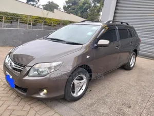 Toyota Corolla Fielder 2010 Silver