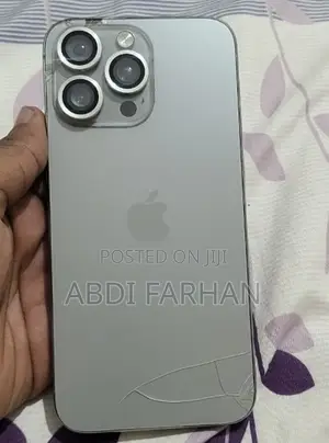 Apple iPhone 15 Pro Max 256 GB Gray