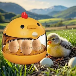 Egg Incubator, Precise Temperature Control