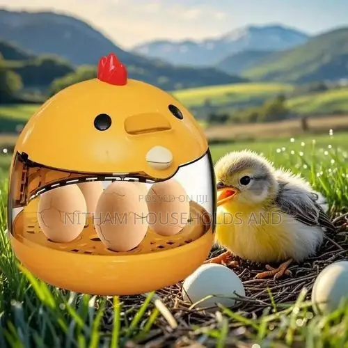 Egg Incubator, Precise Temperature Control