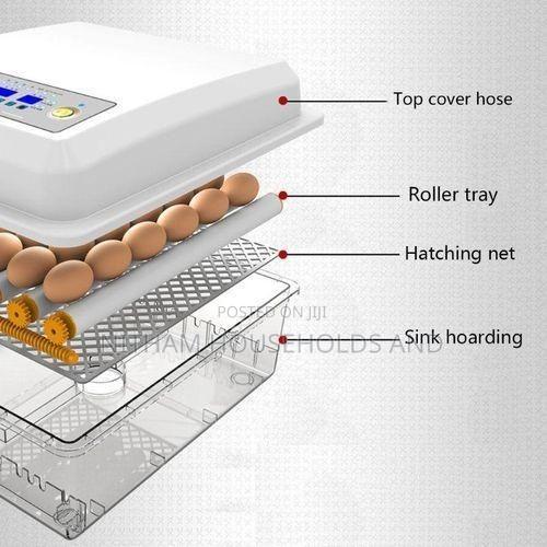 56 Egg Incubator Automatic Egg Hatcher AC DC - thumbnail 2