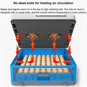 68-Eggs Automatic Egg Incubator AC DC
