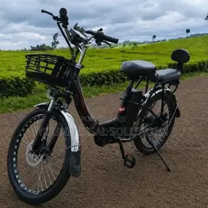 *Compact E-Bike 350W Long Life Battery