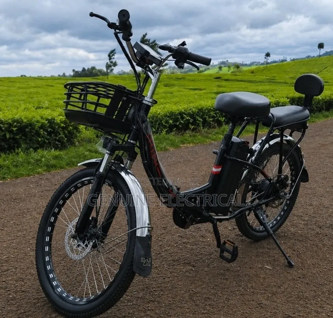 E- Bike 350vwatts