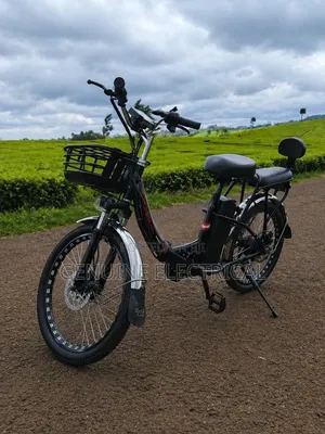 Brand New E -Compact Bike (Electric Bike)