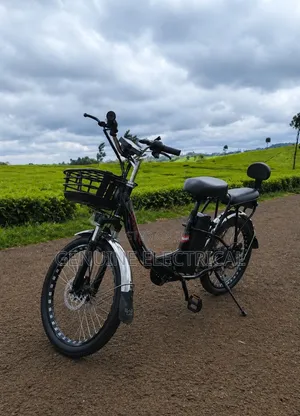 New E -Compact Bike (Electric Bike)