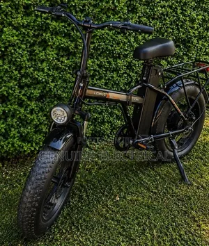 Fat Tyre E-Bike Motor: 500W Battery: 48V Lithium-Ion