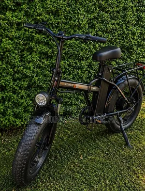 Ew Fat Tyre E-Bike Motor: 500W Battery: 48V Lithium-Ion