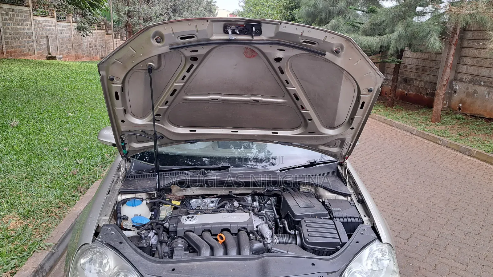 Volkswagen Jetta 2006 Green