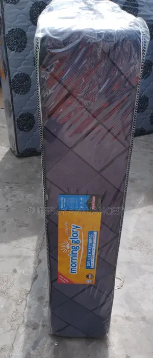 Plain 10-Inch 4×6 Morning Glory Mattress