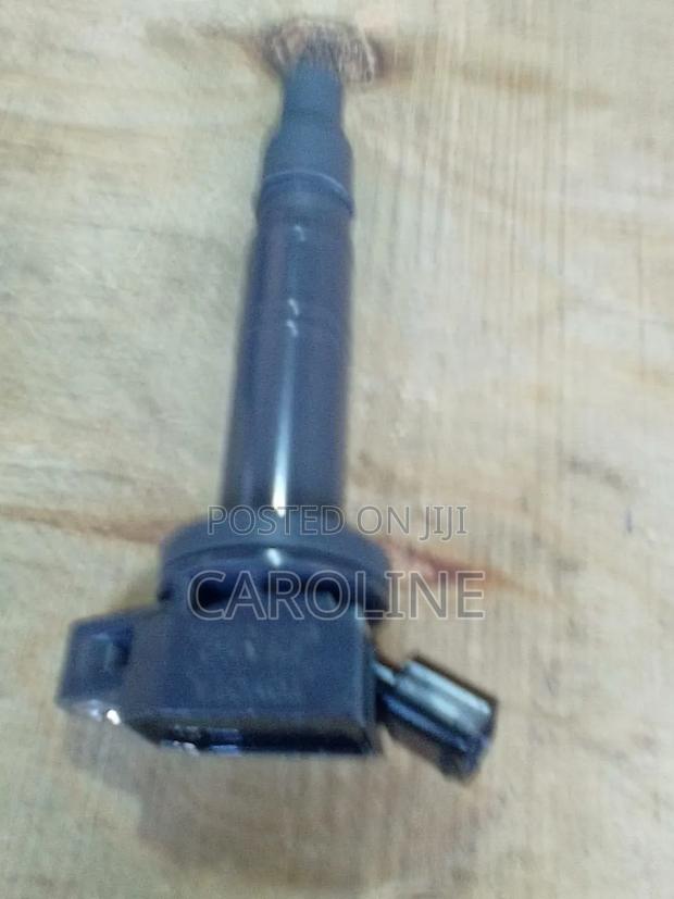 Ignation Coils Fielder Old Model