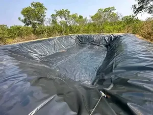 Kitisuru Fish Pond Contractors