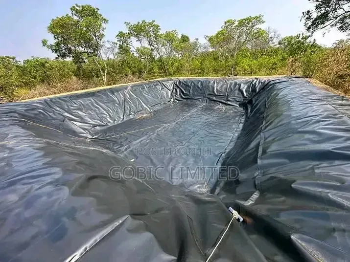 Kitisuru Fish Pond Contractors