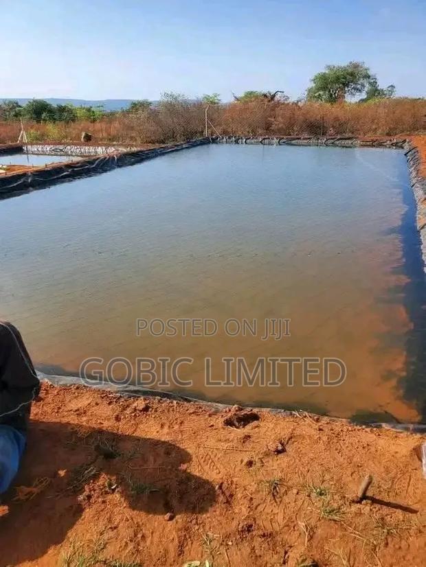 Kitisuru Fish Pond Contractors - main view