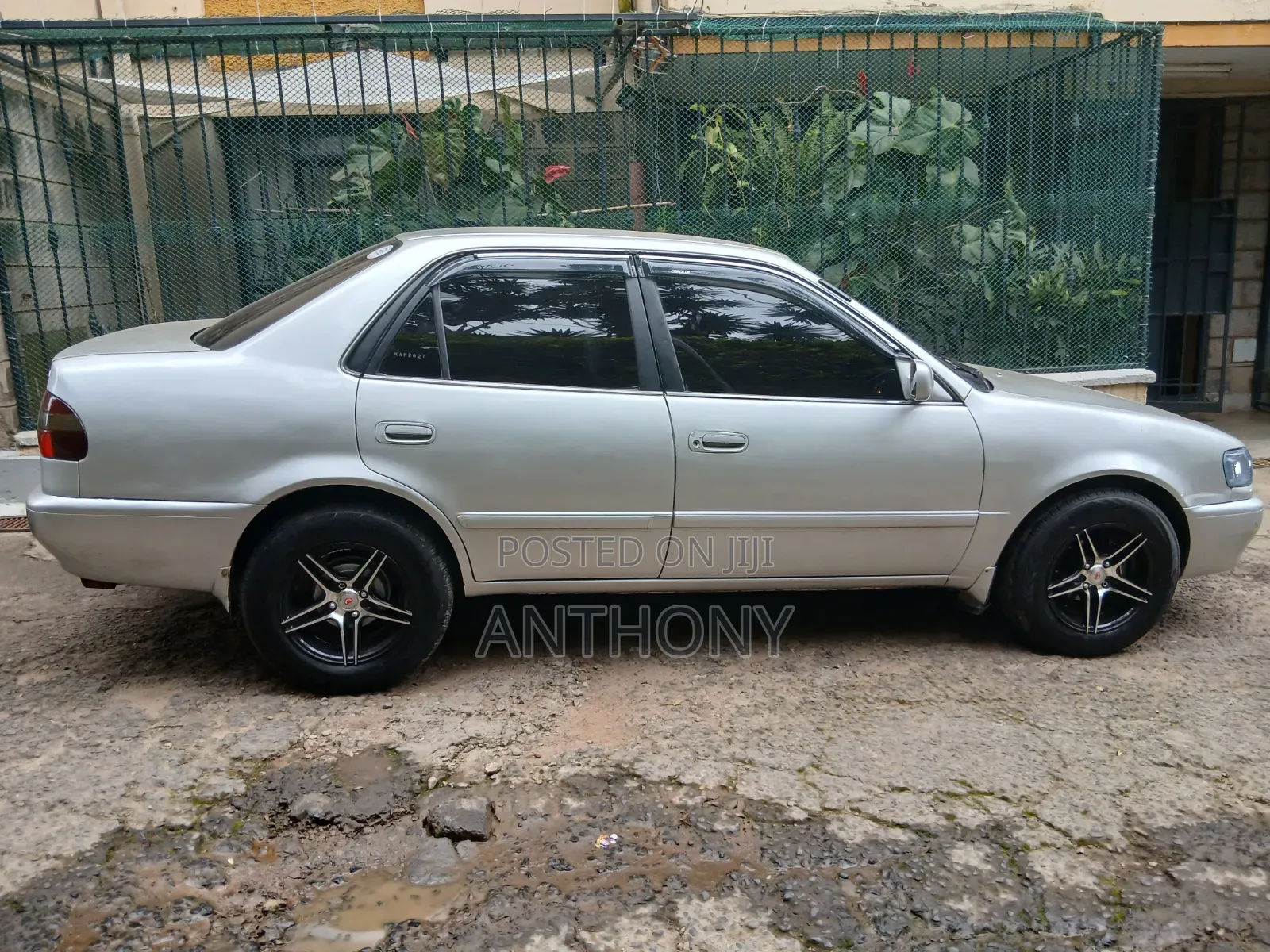 Toyota Corolla 1998 Gray