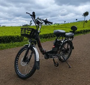 *Compact E-Bike Specs:*