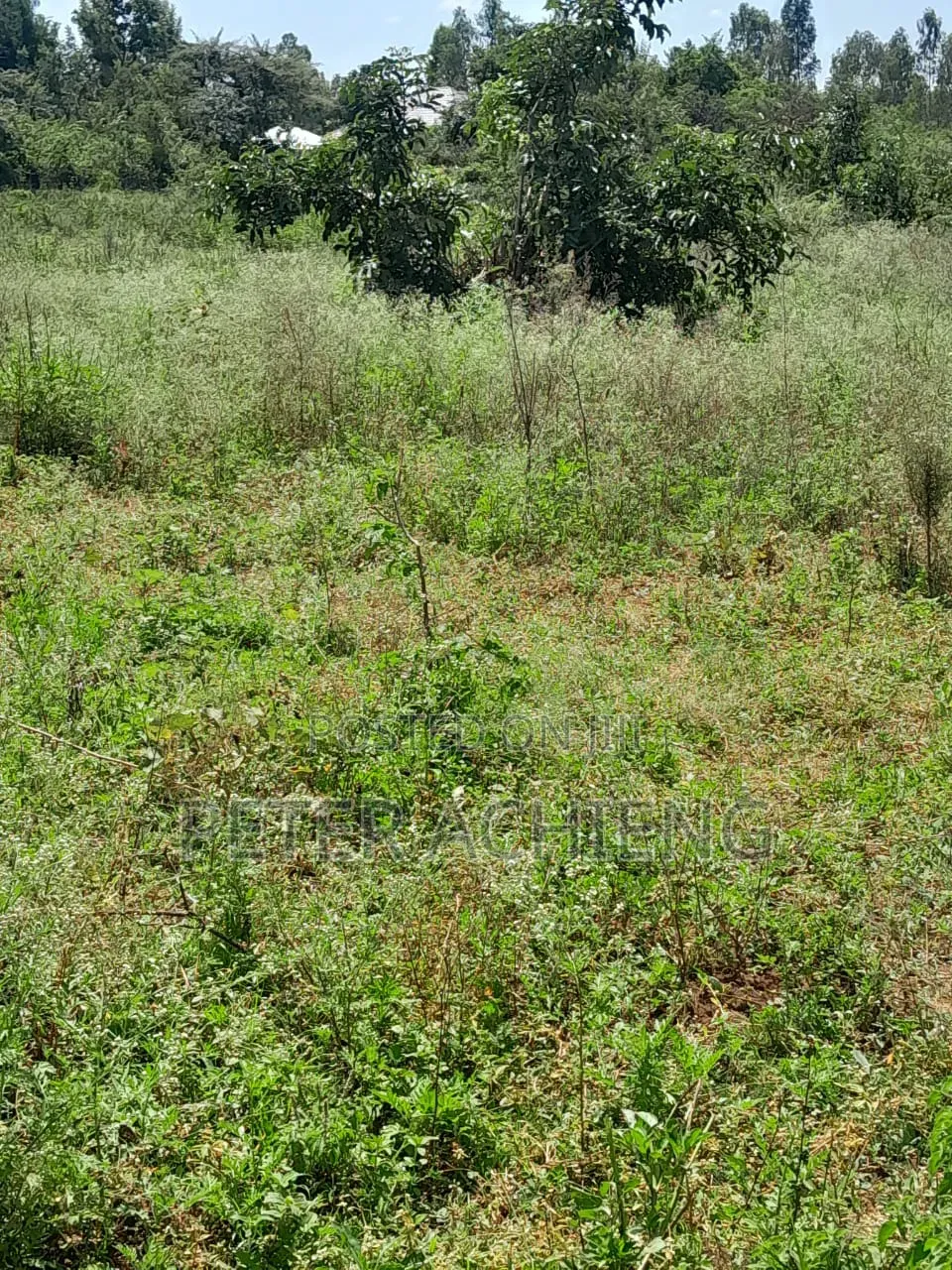 2.5 Acres Alego Upanda