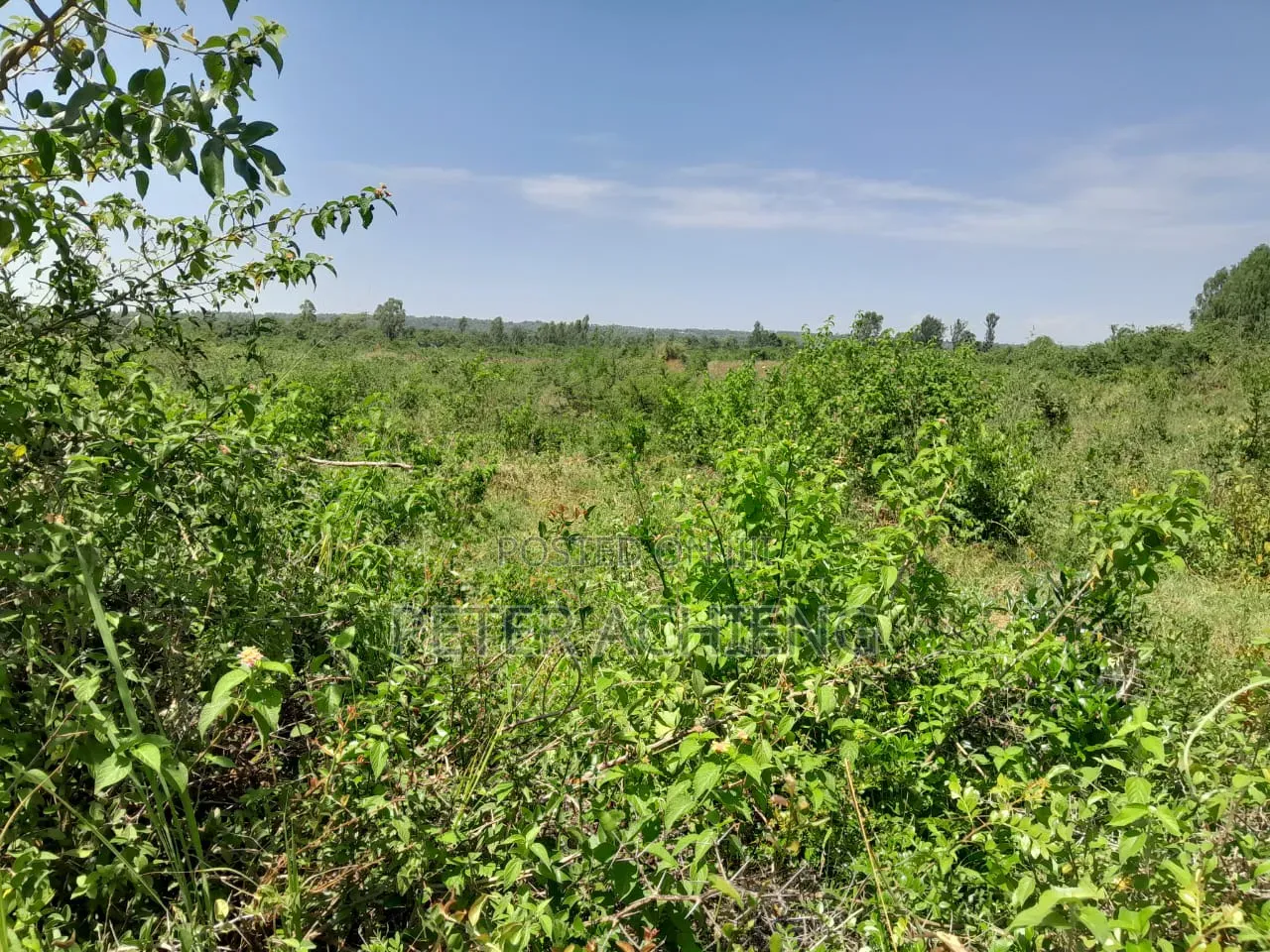 2.5 Acres Alego Upanda