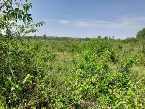 2.5 Acres Alego Upanda