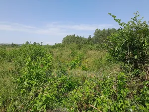 2.5 Acres Alego Upanda