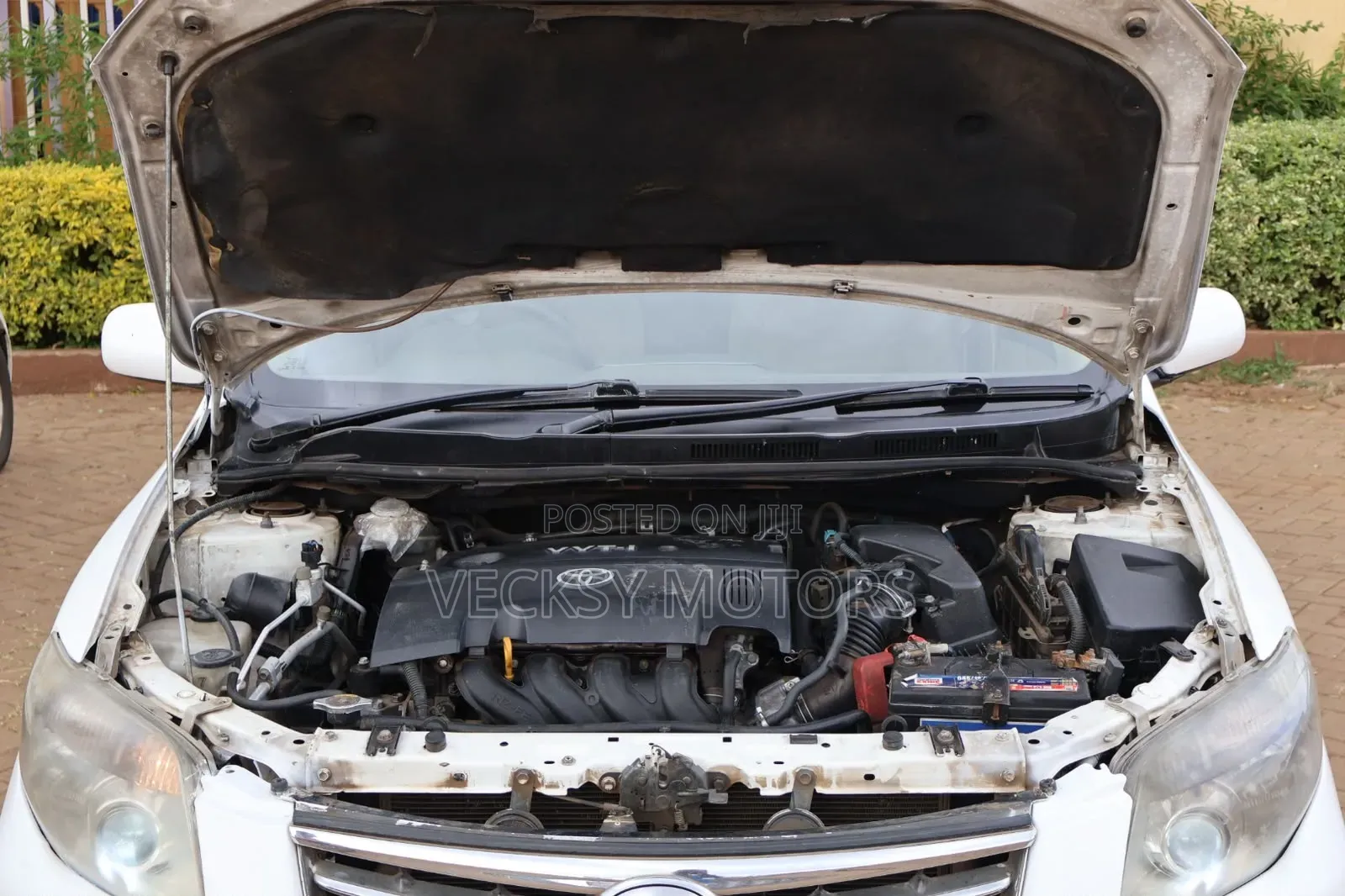 Toyota Axio 2010 Pearl