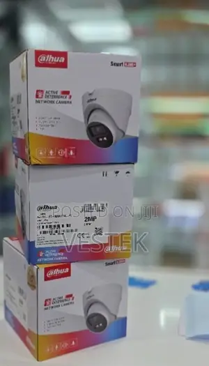 Dahua 2MP IP67 Smart Surveillance Camera Two Way Talk