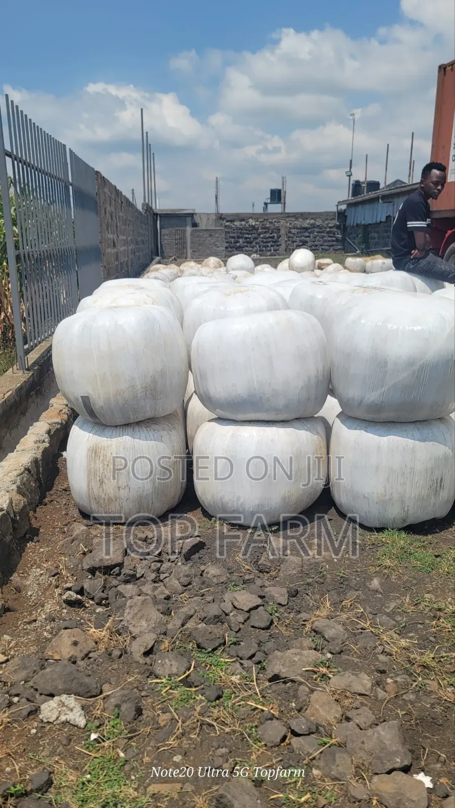 Silage Available More Than 450 Tons