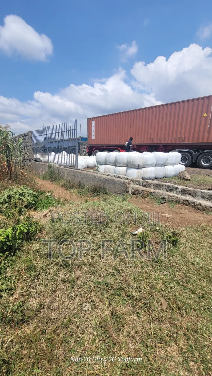 Silage Available More Than 450 Tons