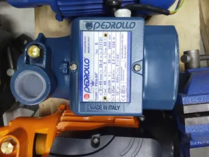 0.5 Pedrollo Booster Pump/Pedrollo PKm60
