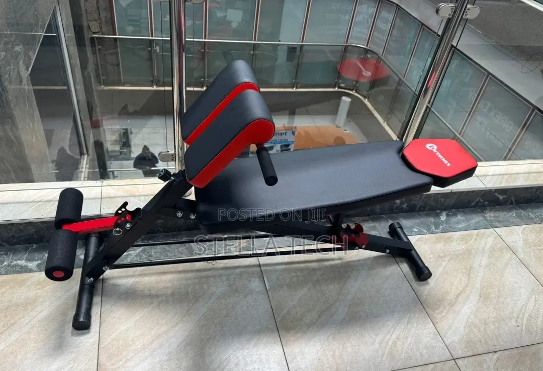 Modern Executive Gym Bench
