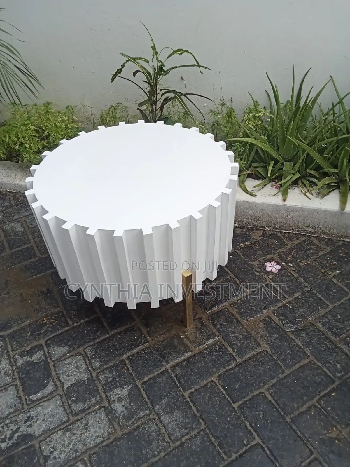 White Plain Coffee Table