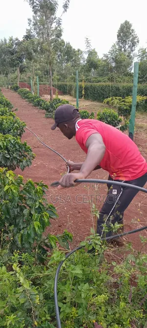 Button Drippers Irrigation