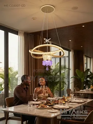 Modern Elegant Chandelier Body Black and Gold
