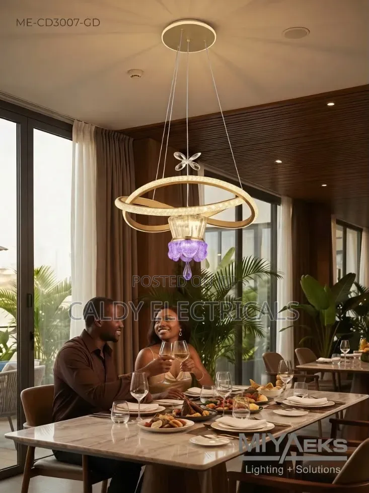 Modern Elegant Chandelier Body Black and Gold