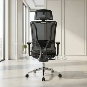 Modern High Back Mesh Orthopedic Chair
