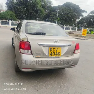 Toyota Axio 2013 Gold