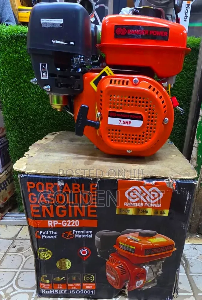 Portable Petrol Engine/ 7.5hp Portable Petrol Engine